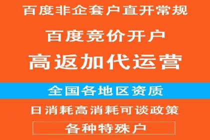 竞价推广代运营：成功案例解析